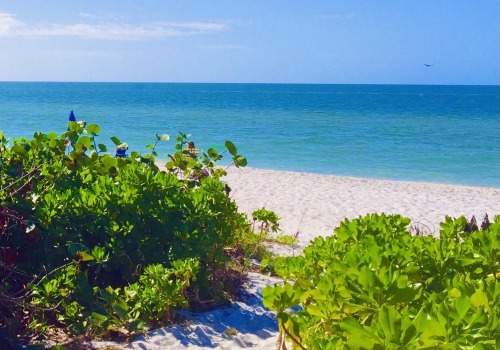 Discover the Best Beaches near Inns in Lee County, Florida